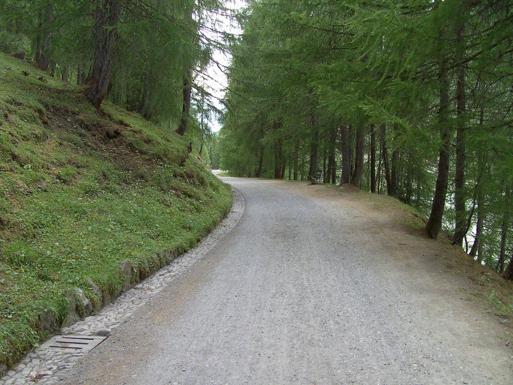 Una strada nel bosco